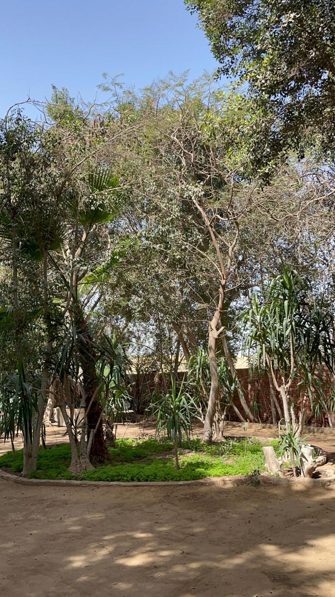 Villa By The Pyramids ไคโร ภายนอก รูปภาพ