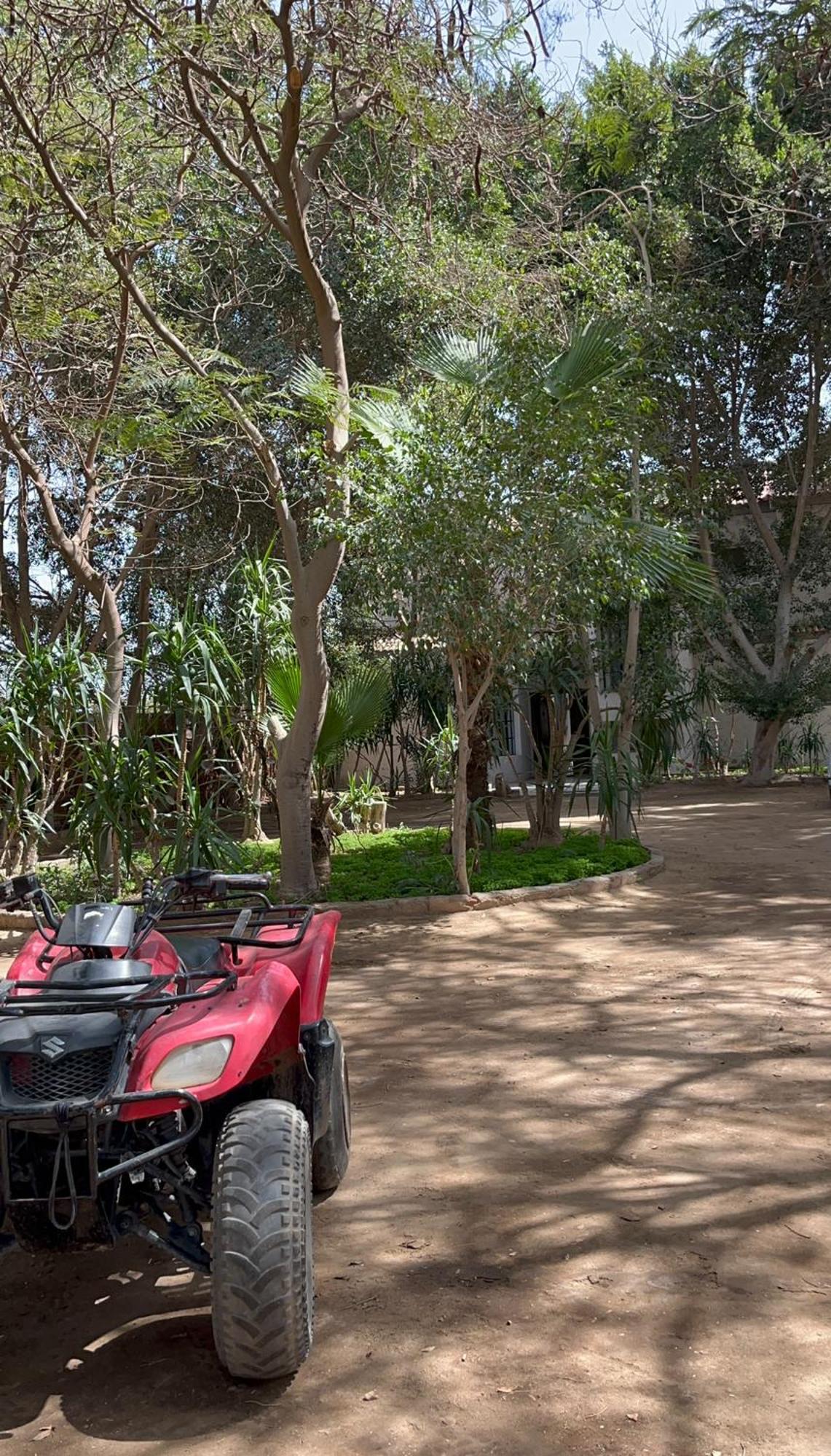 Villa By The Pyramids ไคโร ภายนอก รูปภาพ