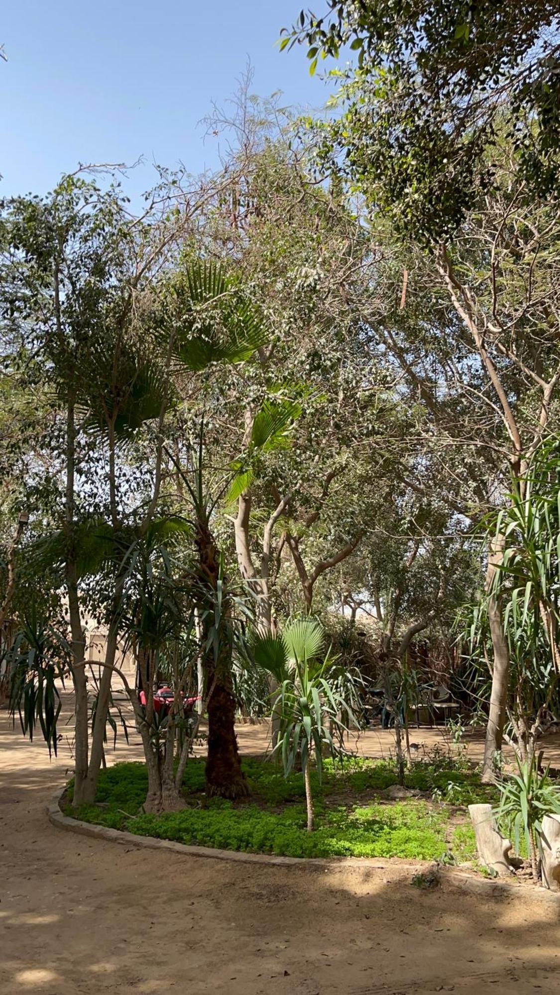 Villa By The Pyramids ไคโร ภายนอก รูปภาพ